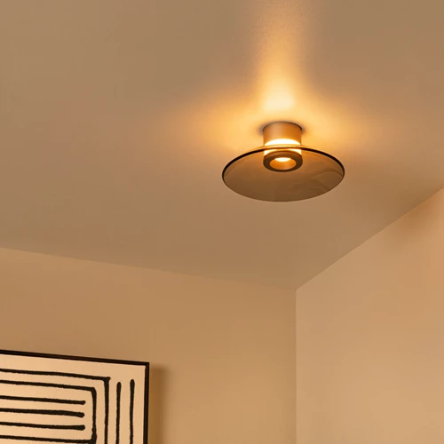 Lucide SANTIAGO - Flush ceiling light - Ø 23 cm - LED Dim. - CCT - 1x10W 2700K/4000K - Amber | Premium - atmosphere 1